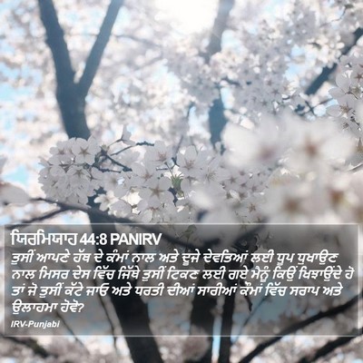 ਯਿਰਮਿਯਾਹ 44:8 PANIRV Bible Verse Image
