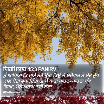 ਯਿਰਮਿਯਾਹ 45:3 PANIRV Bible Verse Image