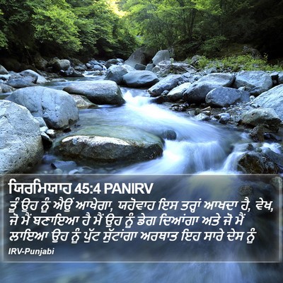 ਯਿਰਮਿਯਾਹ 45:4 PANIRV Bible Verse Image