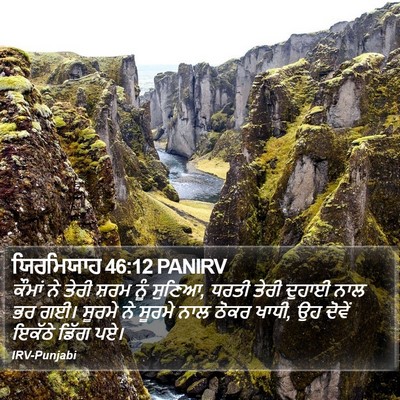 ਯਿਰਮਿਯਾਹ 46:12 PANIRV Bible Verse Image