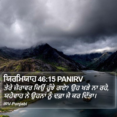 ਯਿਰਮਿਯਾਹ 46:15 PANIRV Bible Verse Image