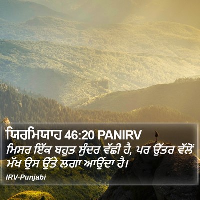 ਯਿਰਮਿਯਾਹ 46:20 PANIRV Bible Verse Image