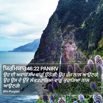 ਯਿਰਮਿਯਾਹ 46:22 PANIRV Bible Verse Image