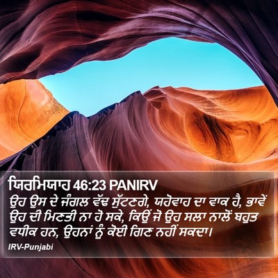 ਯਿਰਮਿਯਾਹ 46:23 PANIRV Bible Verse Image