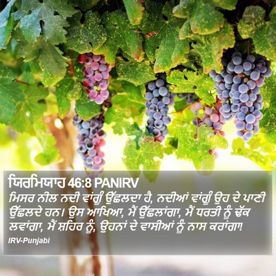 ਯਿਰਮਿਯਾਹ 46:8 PANIRV Bible Verse Image