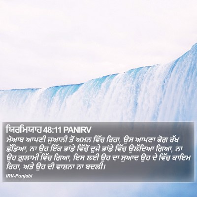 ਯਿਰਮਿਯਾਹ 48:11 PANIRV Bible Verse Image