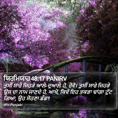 ਯਿਰਮਿਯਾਹ 48:17 PANIRV Bible Verse Image