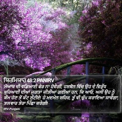 ਯਿਰਮਿਯਾਹ 48:2 PANIRV Bible Verse Image