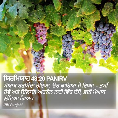 ਯਿਰਮਿਯਾਹ 48:20 PANIRV Bible Verse Image