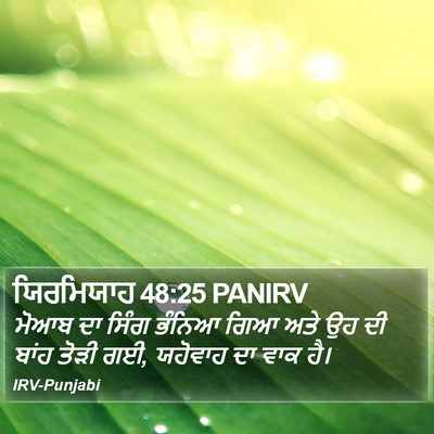 ਯਿਰਮਿਯਾਹ 48:25 PANIRV Bible Verse Image