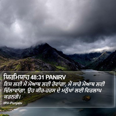 ਯਿਰਮਿਯਾਹ 48:31 PANIRV Bible Verse Image