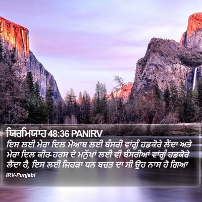 ਯਿਰਮਿਯਾਹ 48:36 PANIRV Bible Verse Image