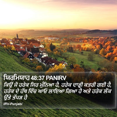 ਯਿਰਮਿਯਾਹ 48:37 PANIRV Bible Verse Image