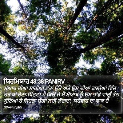 ਯਿਰਮਿਯਾਹ 48:38 PANIRV Bible Verse Image
