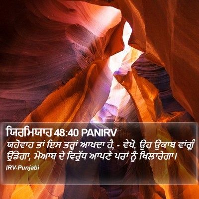 ਯਿਰਮਿਯਾਹ 48:40 PANIRV Bible Verse Image