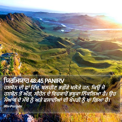 ਯਿਰਮਿਯਾਹ 48:45 PANIRV Bible Verse Image