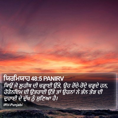 ਯਿਰਮਿਯਾਹ 48:5 PANIRV Bible Verse Image