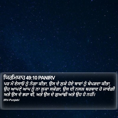 ਯਿਰਮਿਯਾਹ 49:10 PANIRV Bible Verse Image