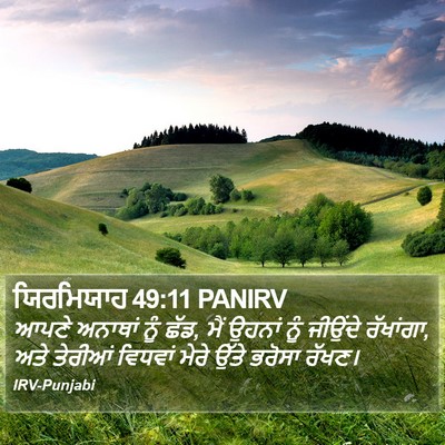 ਯਿਰਮਿਯਾਹ 49:11 PANIRV Bible Verse Image
