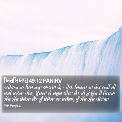 ਯਿਰਮਿਯਾਹ 49:12 PANIRV Bible Verse Image