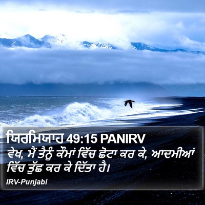 ਯਿਰਮਿਯਾਹ 49:15 PANIRV Bible Verse Image