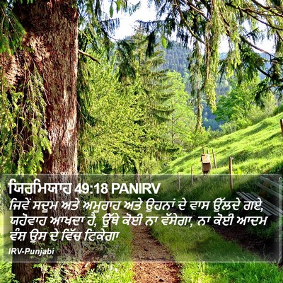 ਯਿਰਮਿਯਾਹ 49:18 PANIRV Bible Verse Image