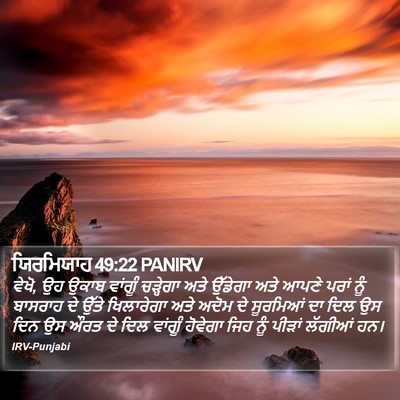 ਯਿਰਮਿਯਾਹ 49:22 PANIRV Bible Verse Image