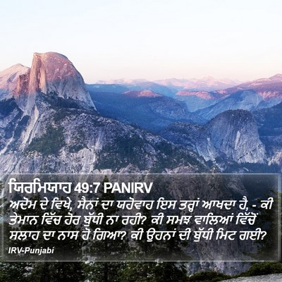 ਯਿਰਮਿਯਾਹ 49:7 PANIRV Bible Verse Image