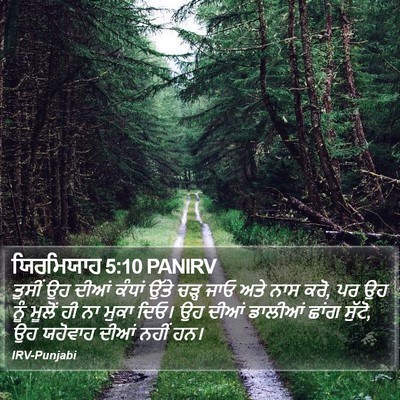 ਯਿਰਮਿਯਾਹ 5:10 PANIRV Bible Verse Image