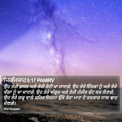 ਯਿਰਮਿਯਾਹ 5:17 PANIRV Bible Verse Image