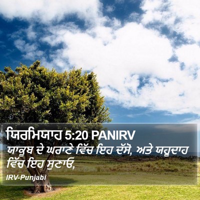 ਯਿਰਮਿਯਾਹ 5:20 PANIRV Bible Verse Image