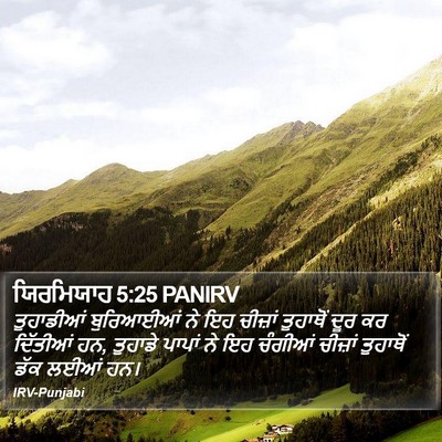 ਯਿਰਮਿਯਾਹ 5:25 PANIRV Bible Verse Image