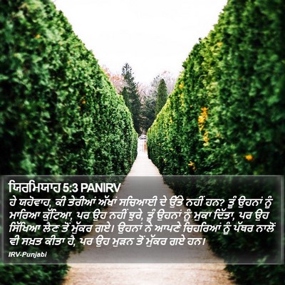 ਯਿਰਮਿਯਾਹ 5:3 PANIRV Bible Verse Image