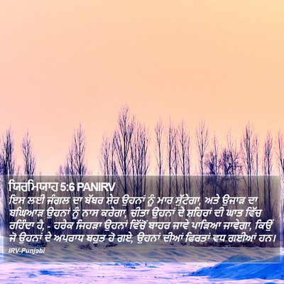 ਯਿਰਮਿਯਾਹ 5:6 PANIRV Bible Verse Image