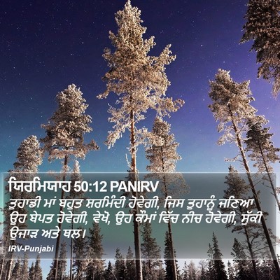 ਯਿਰਮਿਯਾਹ 50:12 PANIRV Bible Verse Image
