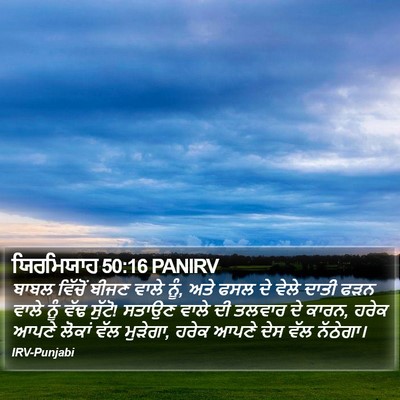 ਯਿਰਮਿਯਾਹ 50:16 PANIRV Bible Verse Image