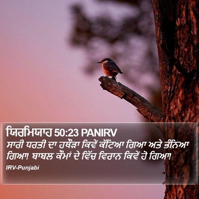 ਯਿਰਮਿਯਾਹ 50:23 PANIRV Bible Verse Image