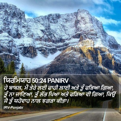 ਯਿਰਮਿਯਾਹ 50:24 PANIRV Bible Verse Image