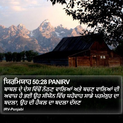 ਯਿਰਮਿਯਾਹ 50:28 PANIRV Bible Verse Image