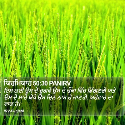 ਯਿਰਮਿਯਾਹ 50:30 PANIRV Bible Verse Image