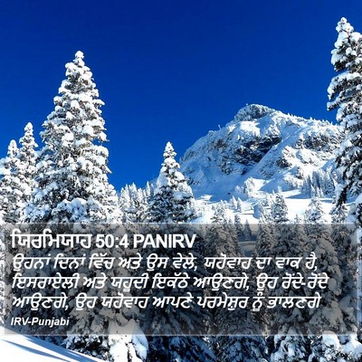 ਯਿਰਮਿਯਾਹ 50:4 PANIRV Bible Verse Image