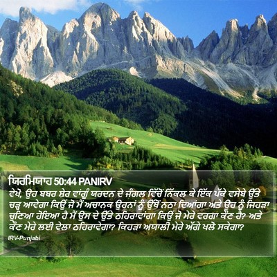 ਯਿਰਮਿਯਾਹ 50:44 PANIRV Bible Verse Image