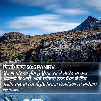 ਯਿਰਮਿਯਾਹ 50:5 PANIRV Bible Verse Image