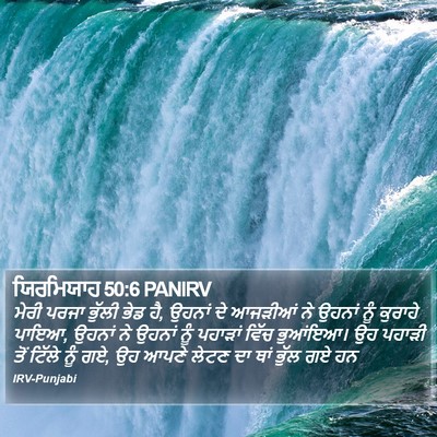 ਯਿਰਮਿਯਾਹ 50:6 PANIRV Bible Verse Image