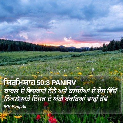 ਯਿਰਮਿਯਾਹ 50:8 PANIRV Bible Verse Image