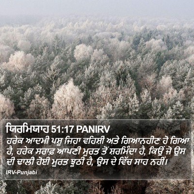 ਯਿਰਮਿਯਾਹ 51:17 PANIRV Bible Verse Image