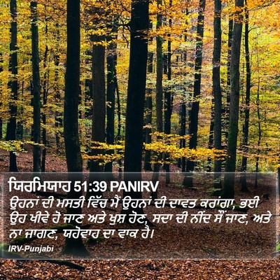 ਯਿਰਮਿਯਾਹ 51:39 PANIRV Bible Verse Image
