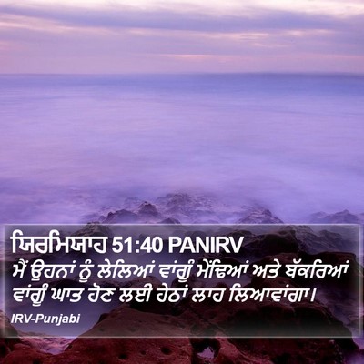 ਯਿਰਮਿਯਾਹ 51:40 PANIRV Bible Verse Image