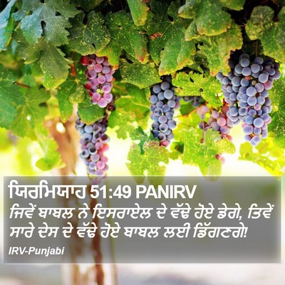 ਯਿਰਮਿਯਾਹ 51:49 PANIRV Bible Verse Image
