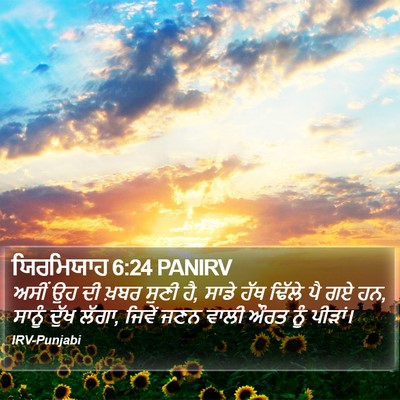 ਯਿਰਮਿਯਾਹ 6:24 PANIRV Bible Verse Image